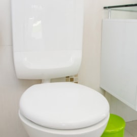 ASSENTO SANITÁRIO OVAL ALMOFADADO BRANCO ASSENTO SANITÁRIO OVAL ALMOFADADO BRANCO