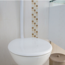 ASSENTO SANITÁRIO OVAL SOFT BRANCO