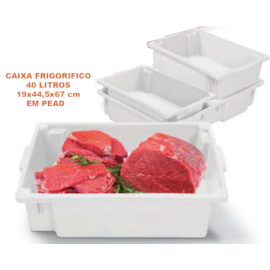 CAIXA PLÁSTICA FRIGORÍFICO 40 LITROS FECHADA NATURAL SEM TAMPA CAIXA PLÁSTICA FRIGORÍFICO 40 LITROS FECHADA NATURAL SEM TAMPA
