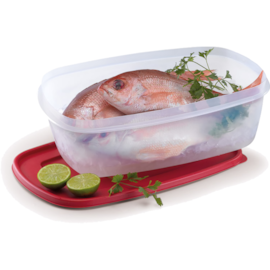 POTE PLASTICO OVAL 9,5 LITROS COM TAMPA POTE PLASTICO OVAL 9,5 LITROS COM TAMPA