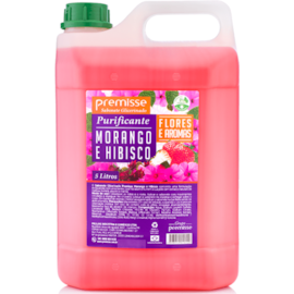 SABONETE LIQUIDO MORANGO E HIBISCUS 5 LITROS SABONETE LIQUIDO MORANGO E HIBISCUS 5 LITROS