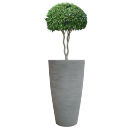 VASO CACHEPOT CONICO GRAFIATO GRANDE 75 X 42 CM VASO CACHEPOT CONICO GRAFIATO GRANDE 75 X 42 CM