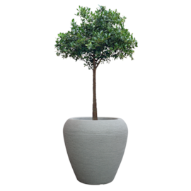 VASO CACHEPOT PILÃO GRAFIATO MEDIO PLÁSTICO 50 X 43 CM VASO CACHEPOT PILÃO GRAFIATO MEDIO PLÁSTICO 50 X 43 CM