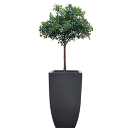 VASO CACHEPOT TRAPEZIO GRAFIATO GRANDE 75 X 40 CM VASO CACHEPOT TRAPEZIO GRAFIATO GRANDE 75 X 40 CM